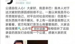 辛巴爆料女孩坐牢最新,女孩因何种原因入狱引发热议