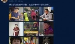 崇阳最新爆料事件视频大全,视频大全揭秘惊人真相