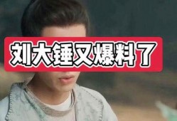 刘大锤最新爆料总结,娱乐圈最新重磅爆料大汇总